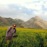 Ali Saeidi NeghabeKoohestaN, Damavand (دماوند)