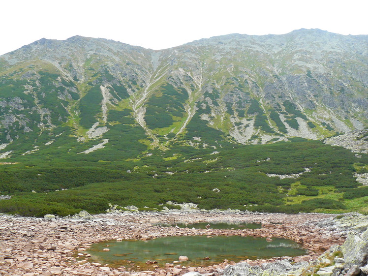 Voloszyn, view from Waksmundzka Valley, Wołoszyn