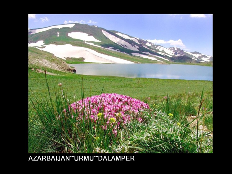 urmia