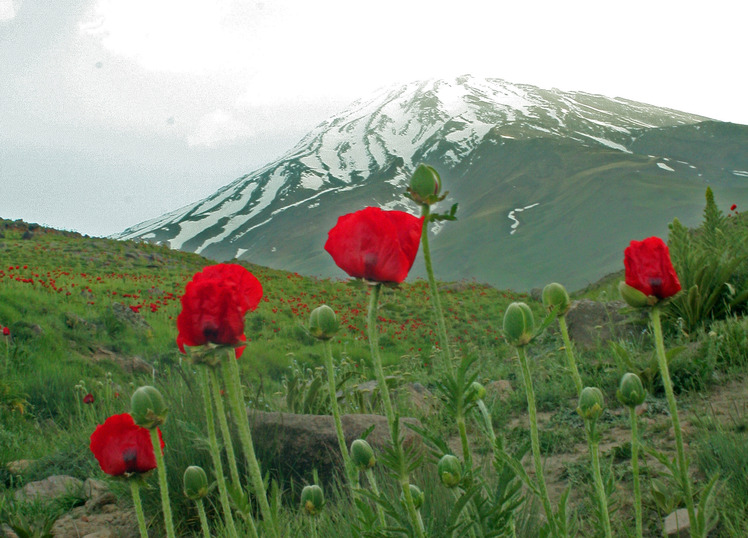 DAMAVAND, Damavand (دماوند)