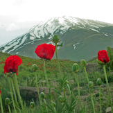 DAMAVAND, Damavand (دماوند)