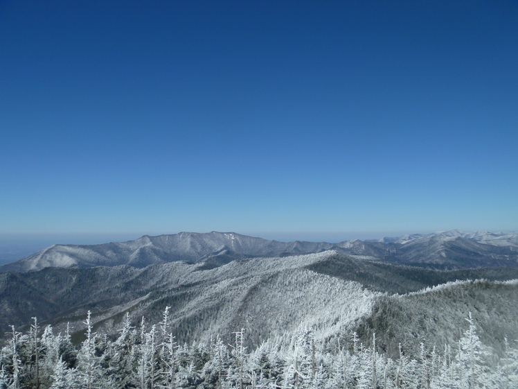 Morning After Early Spring Snowfall, Clingman's Dome