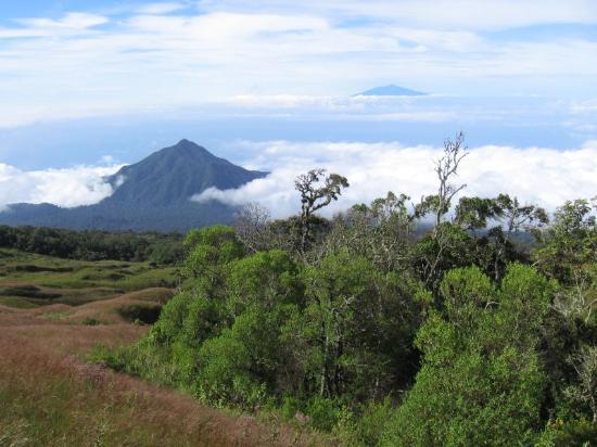 Pico Basilé weather