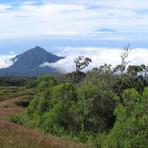 Mount Pico-Basile 3100m, Pico Basilé