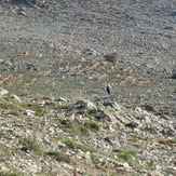 naser ramezani mount vargin, Damavand (دماوند)