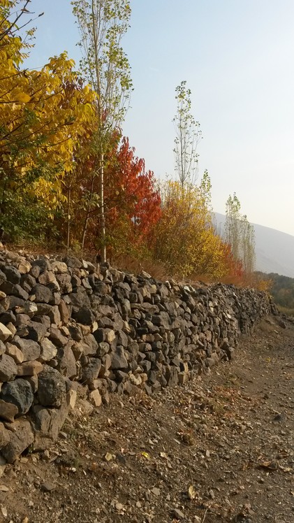 naser ramezani dashte havige, Damavand (دماوند)