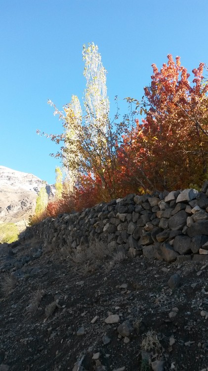 naser ramezani dashte havige, Damavand (دماوند)