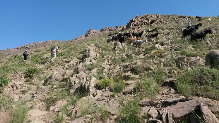 Naser Ramezani Mount Atashkouh, Damavand (دماوند)