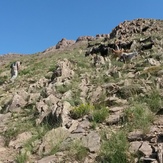 Naser Ramezani Mount Atashkouh, Damavand (دماوند)