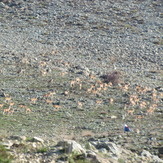 naser ramezani mount vargin, Damavand (دماوند)