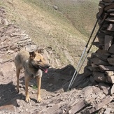 naser ramezani sakouh, Damavand (دماوند)