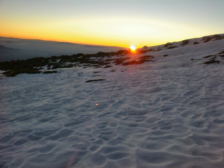 Golden Morning, شيركوه‎‎