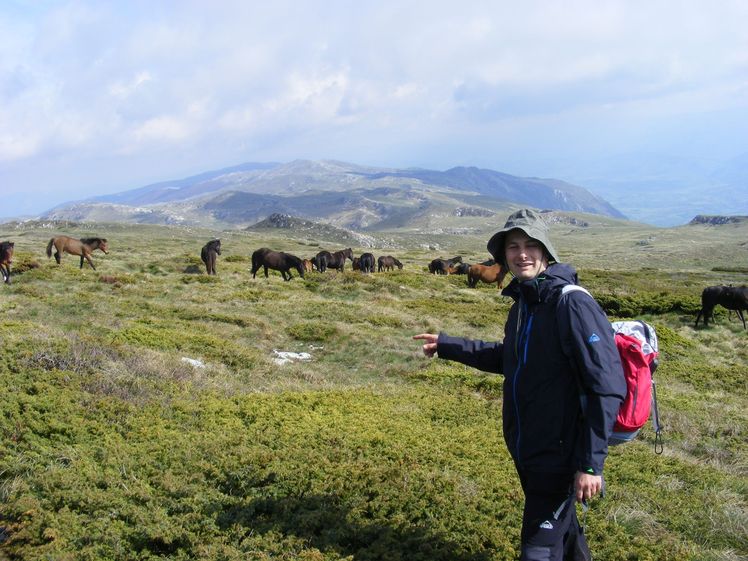 s mile, on Trem, with wild horses, Trem - Suva planina