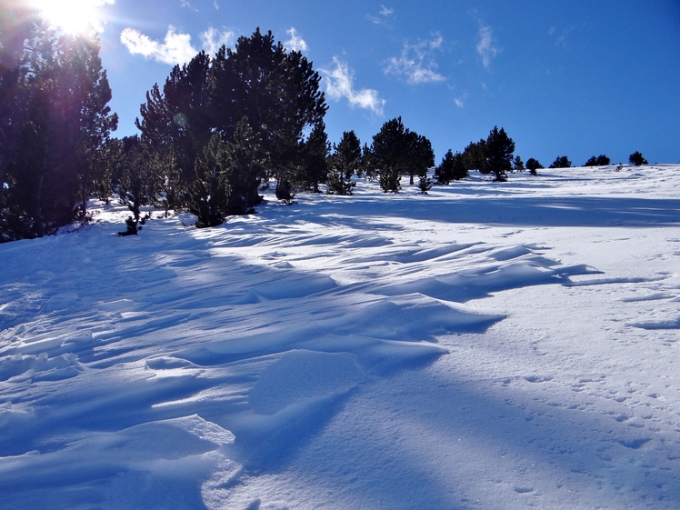 Olympos(Petrostrouga-Mandres), Mount Olympus