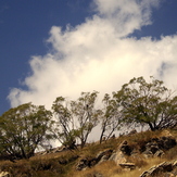 Ali Saeidi NeghabeKoohestaN, Kolakchal