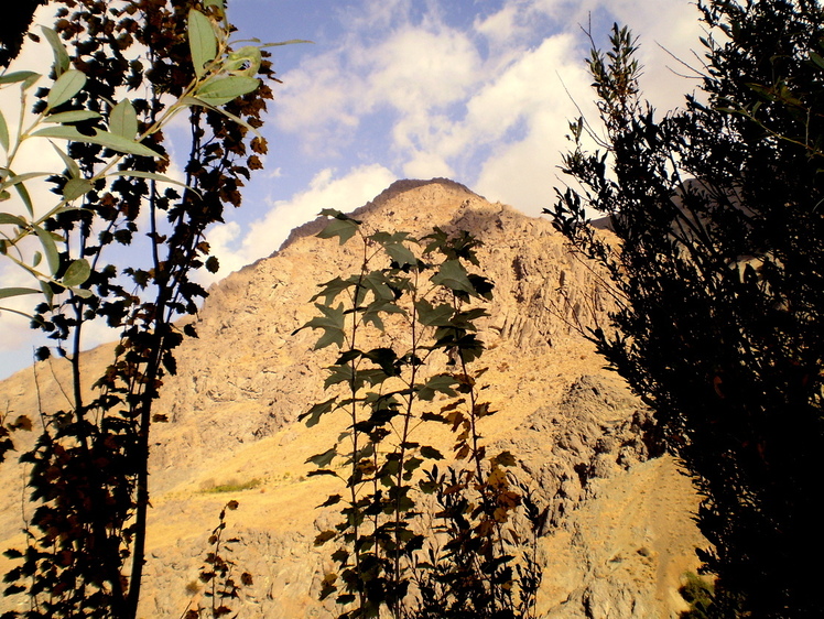 Ali Saeidi NeghabeKoohestaN, Kolakchal