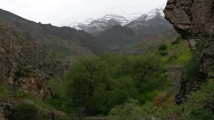 naser ramezani palangchal, Damavand (دماوند)