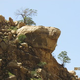 naser ramezani shevi waterfall, سن بران