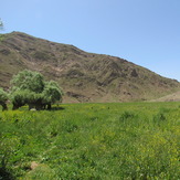 naser ramezani atashkouh, Damavand (دماوند)