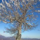 naser ramezani chaman kouh, Mount Binalud