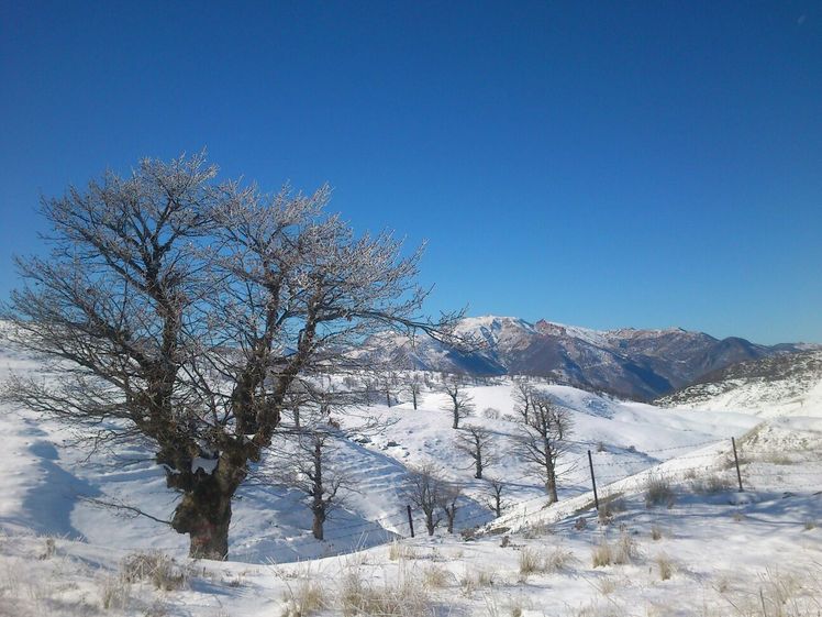 naser ramezani chaman kouh, Mount Binalud