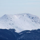 Tarnica