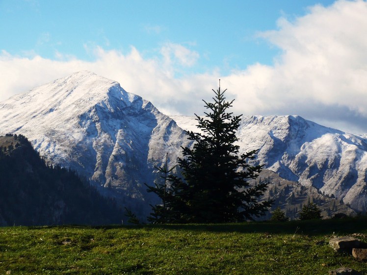 Agrafa svoni 2040m