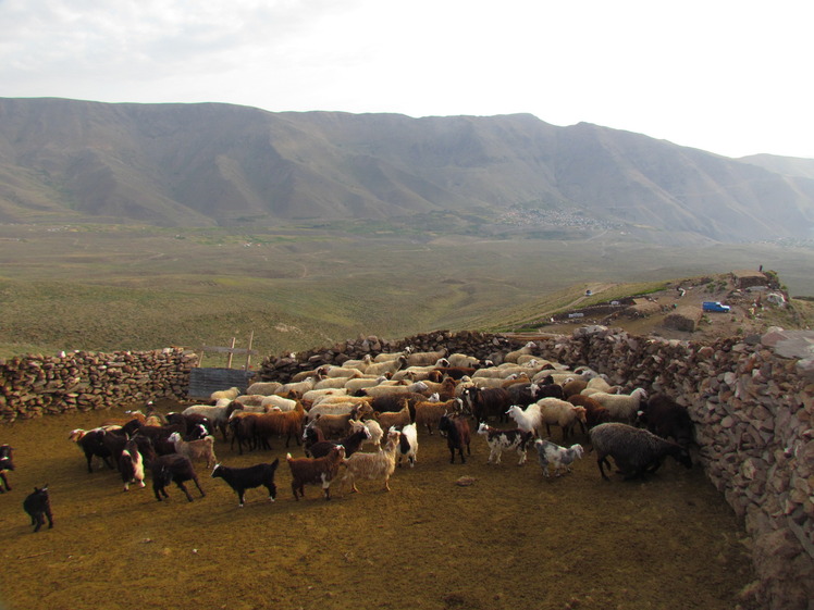 naser ramezani damavand, Damavand (دماوند)