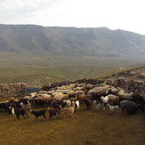 naser ramezani damavand, Damavand (دماوند)