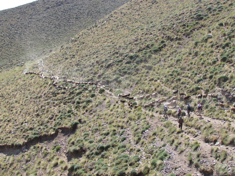 naser ramezani damavand, Damavand (دماوند)