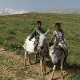 naser ramezani oshtorankouh, سن بران