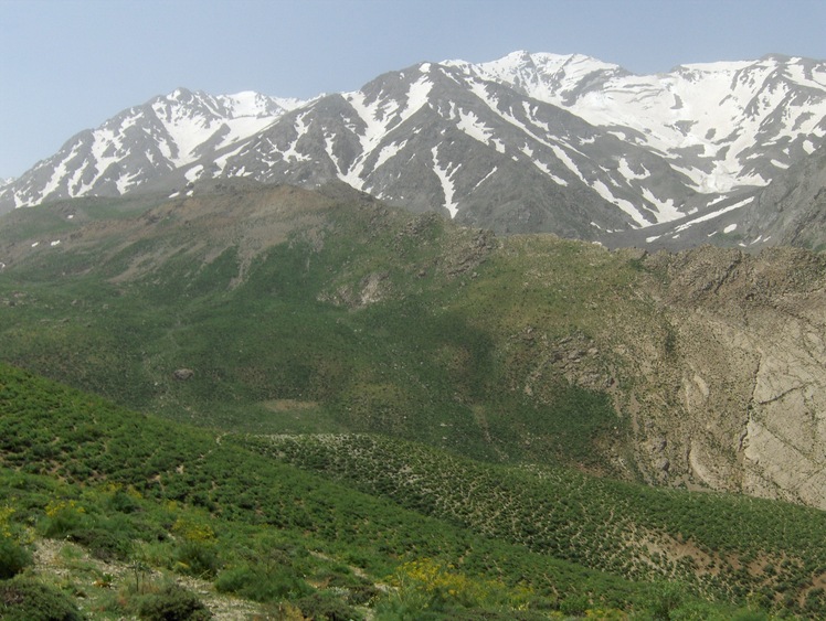 naser ramezani oshtorankouh, سن بران