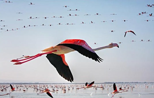 naser ramezani ormieh lake, Sahand