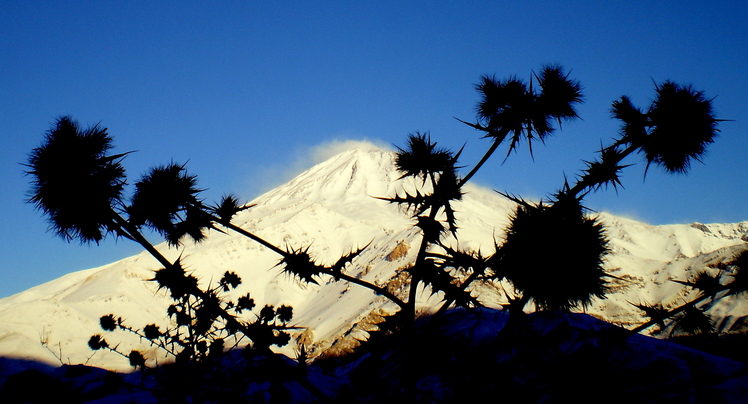 Ali Saeidi NeghabeKoohestaN, Damavand (دماوند)