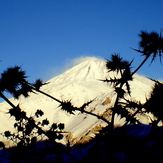 Ali Saeidi NeghabeKoohestaN, Damavand (دماوند)