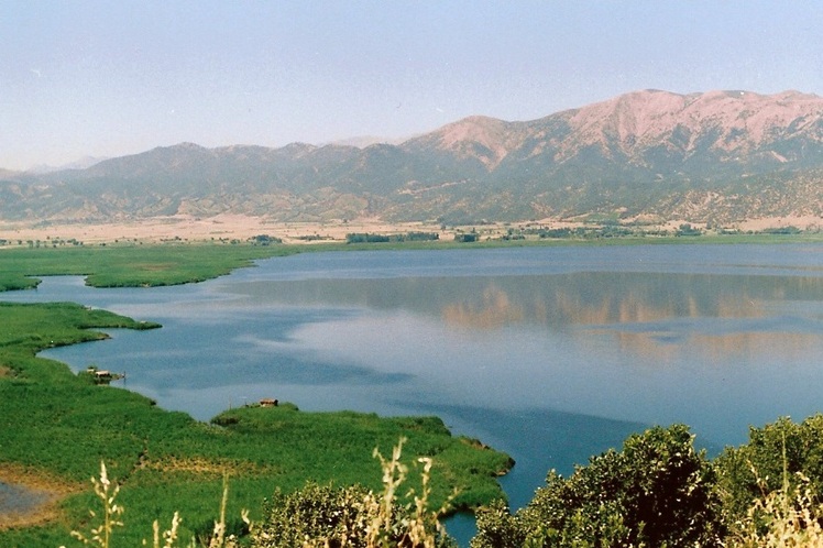naser ramezani zarivar lake, Shaho