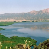 naser ramezani zarivar lake, Shaho