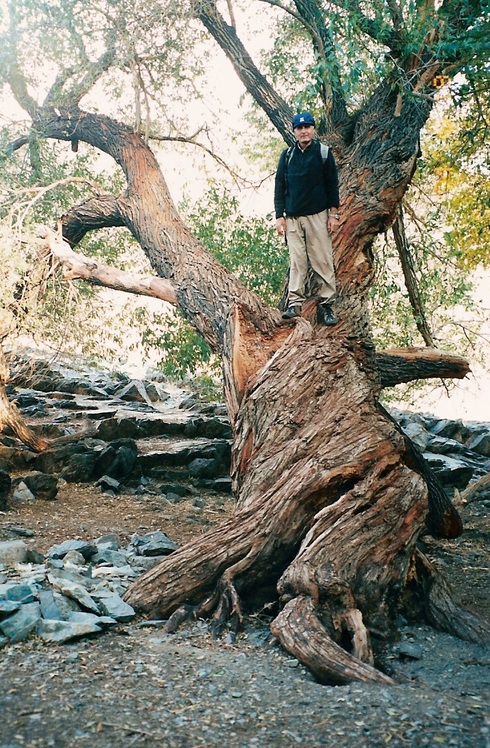 naser ramezani mont saleh peighambar