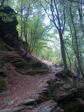 Flampouri Pelion photo