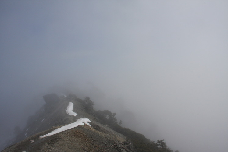 Devil's back bone, Mount San Antonio