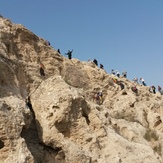 naser ramezani mount pardis