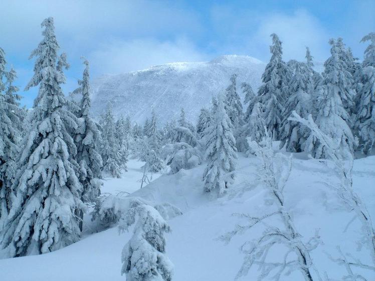 North-Western slope of Babia Góra