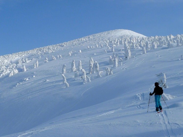 The Snow Monsters of Hakkoda, Hakkoda Group