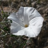 naser ramezani pardis mountain