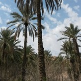 naser ramezani pardis mountain