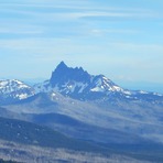 Three Fingered Jack