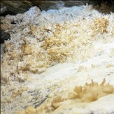 naser ramezani new cave discovered in Esfahan, Sofeh