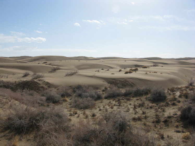 naser ramezani maranjab desert, Karkas