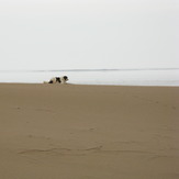 naser ramezani maranjab desert salt lake, Karkas