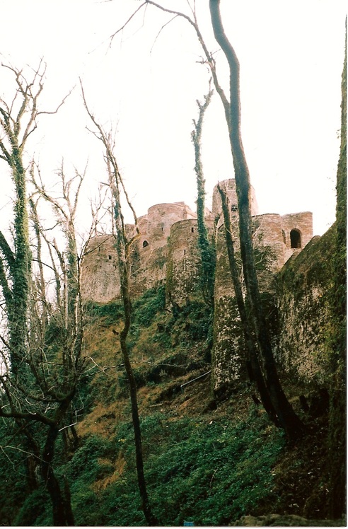 naser ramezani roodkhan castle